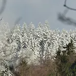 Haus Wald-eck Apartamento