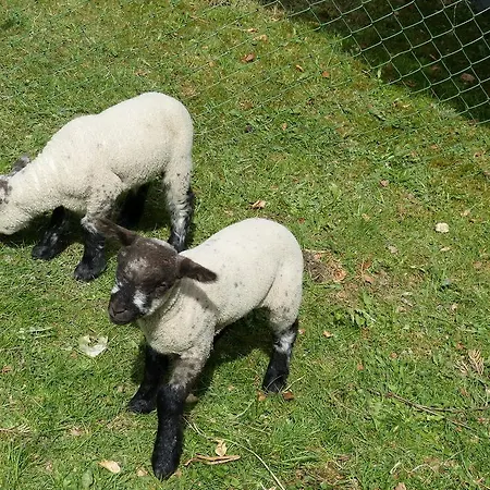 Haus Wald-eck Schmallenberg
