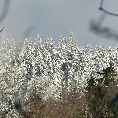 Haus Wald-eck شقة