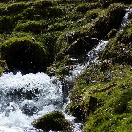 شقة Haus Wald-eck *