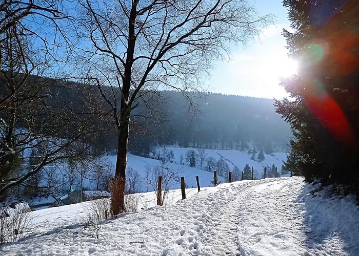 Haus Wald-eck Schmallenberg