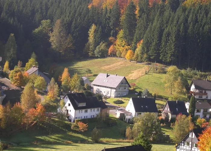 Daire Haus Wald-eck Schmallenberg