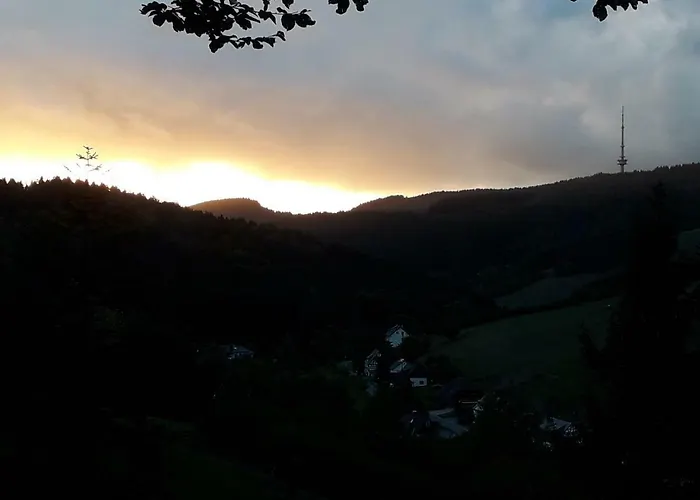 Daire Haus Wald-eck Schmallenberg