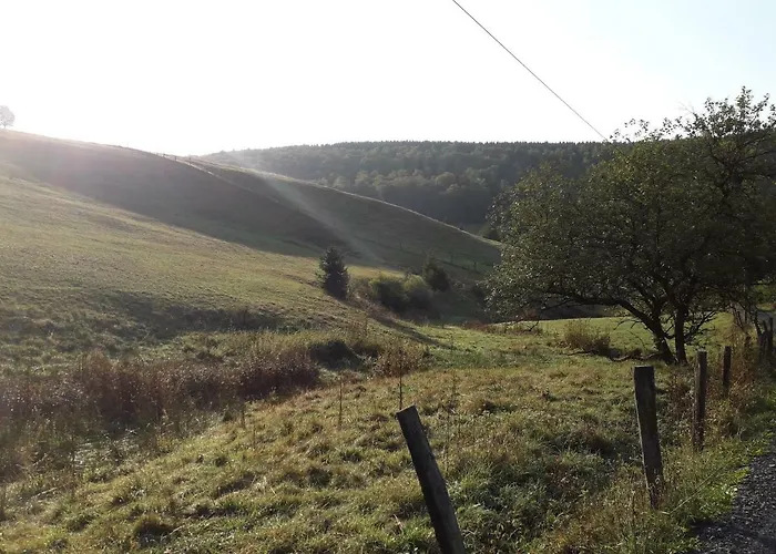 Haus Wald-eck * Schmallenberg