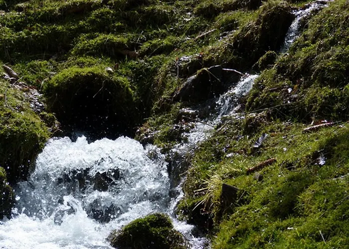 Daire Haus Wald-eck *