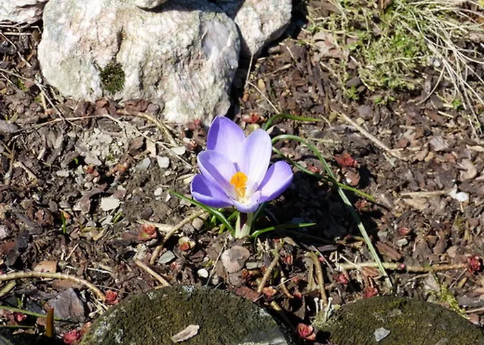 Haus Wald-eck Schmallenberg